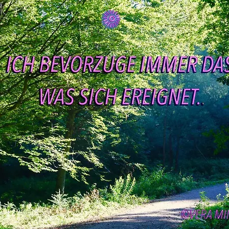 Lee Zen Πανσιόν